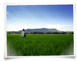 Photograph of a Filipino farmer by Sonny Leon (sonnyleon@hotmail.com) of Quezon City, Philippines